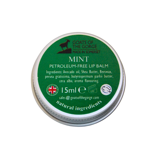 Mint Natural Lip Balm